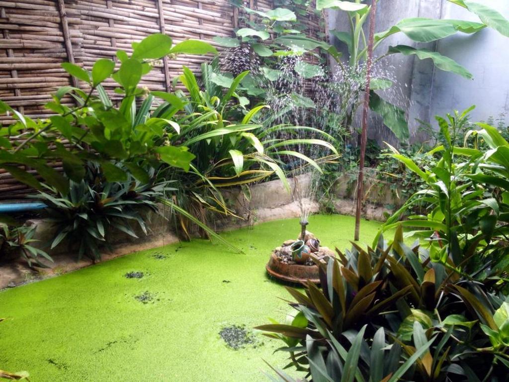 Baan Arlhan شيانغ ماي المظهر الخارجي الصورة